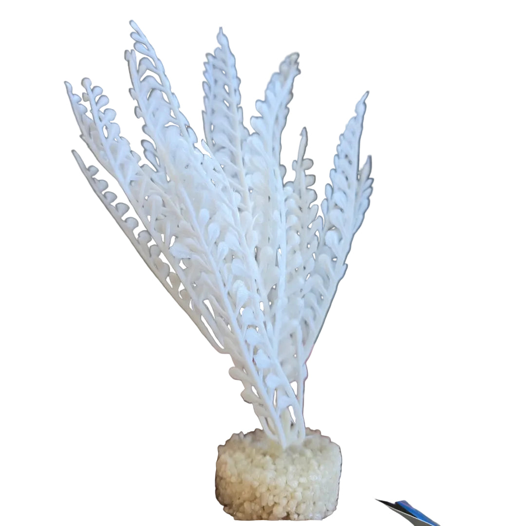 Blue Ribbon Color Burst Florals Dragon's Tongue Plant