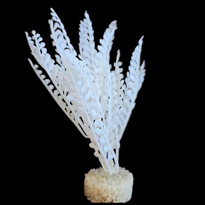 Blue Ribbon Color Burst Florals Dragon's Tongue Plant