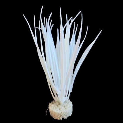 Blue Ribbon Color Burst Florals Ocean Grass