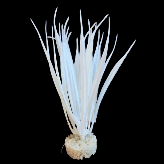 Blue Ribbon Color Burst Florals Ocean Grass