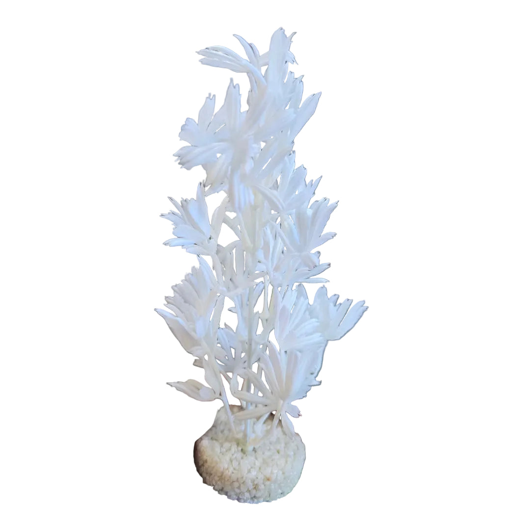 Blue Ribbon Color Burst Florals Palm Plant