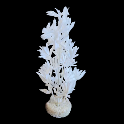 Blue Ribbon Color Burst Florals Palm Plant