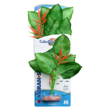 Blue Ribbon Colorburst Florals Marshwood Plant