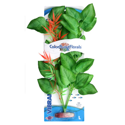 Blue Ribbon Colorburst Florals Marshwood Plant
