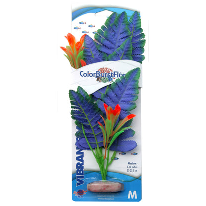 Blue Ribbon ColorBurst Florals Butterfly Sword Plant