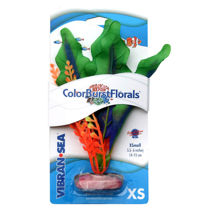 Blue Ribbon Colorburst Florals Waffle Leaf Plant