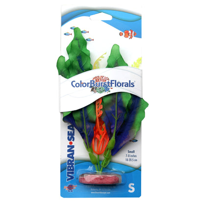 Blue Ribbon Colorburst Florals Waffle Leaf Plant