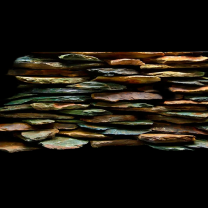 Seaview Double Sided Background Aquawild & Slateways