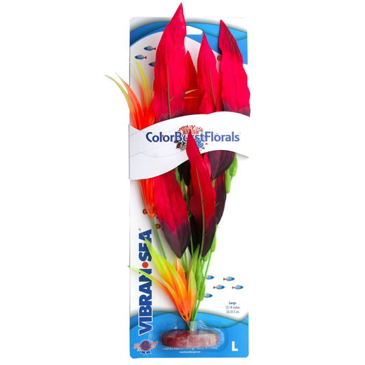 Blue Ribbon Colorburst Florals Amazon Sword Plant