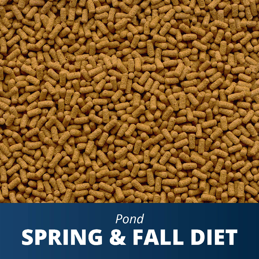 Tetra Koi and Goldfish Spring & Fall Diet