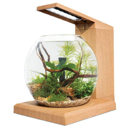 Fluval LIV 6.7 Microscaping Aquarium Kit