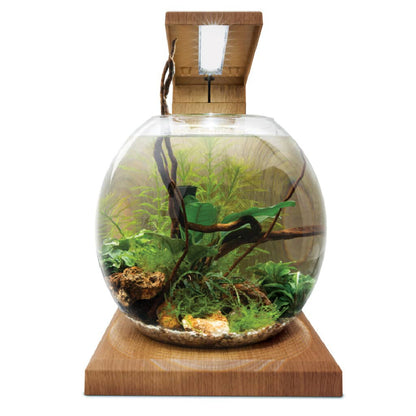 Fluval LIV 6.7 Microscaping Aquarium Kit