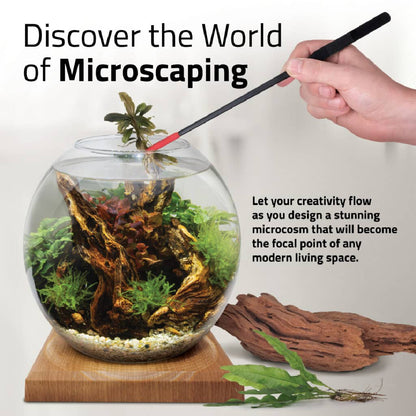 Fluval LIV 6.7 Microscaping Aquarium Kit