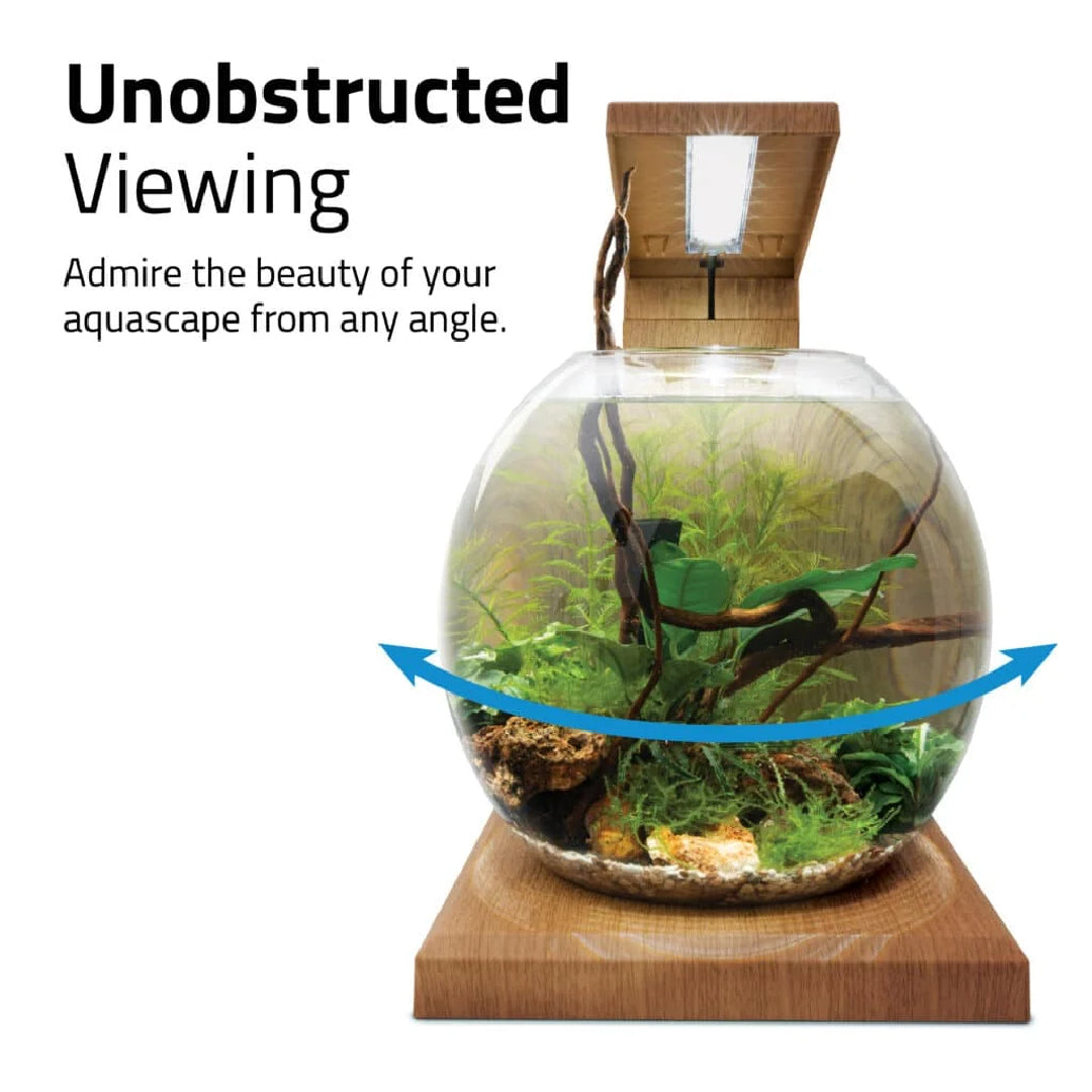 Fluval LIV 6.7 Microscaping Aquarium Kit