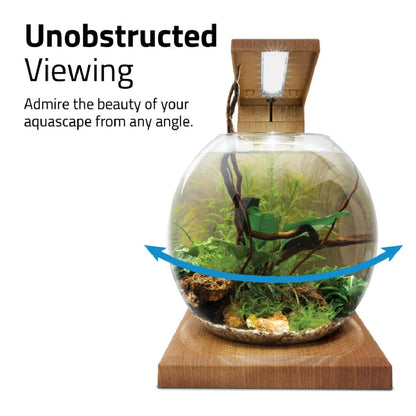 Fluval LIV 6.7 Microscaping Aquarium Kit