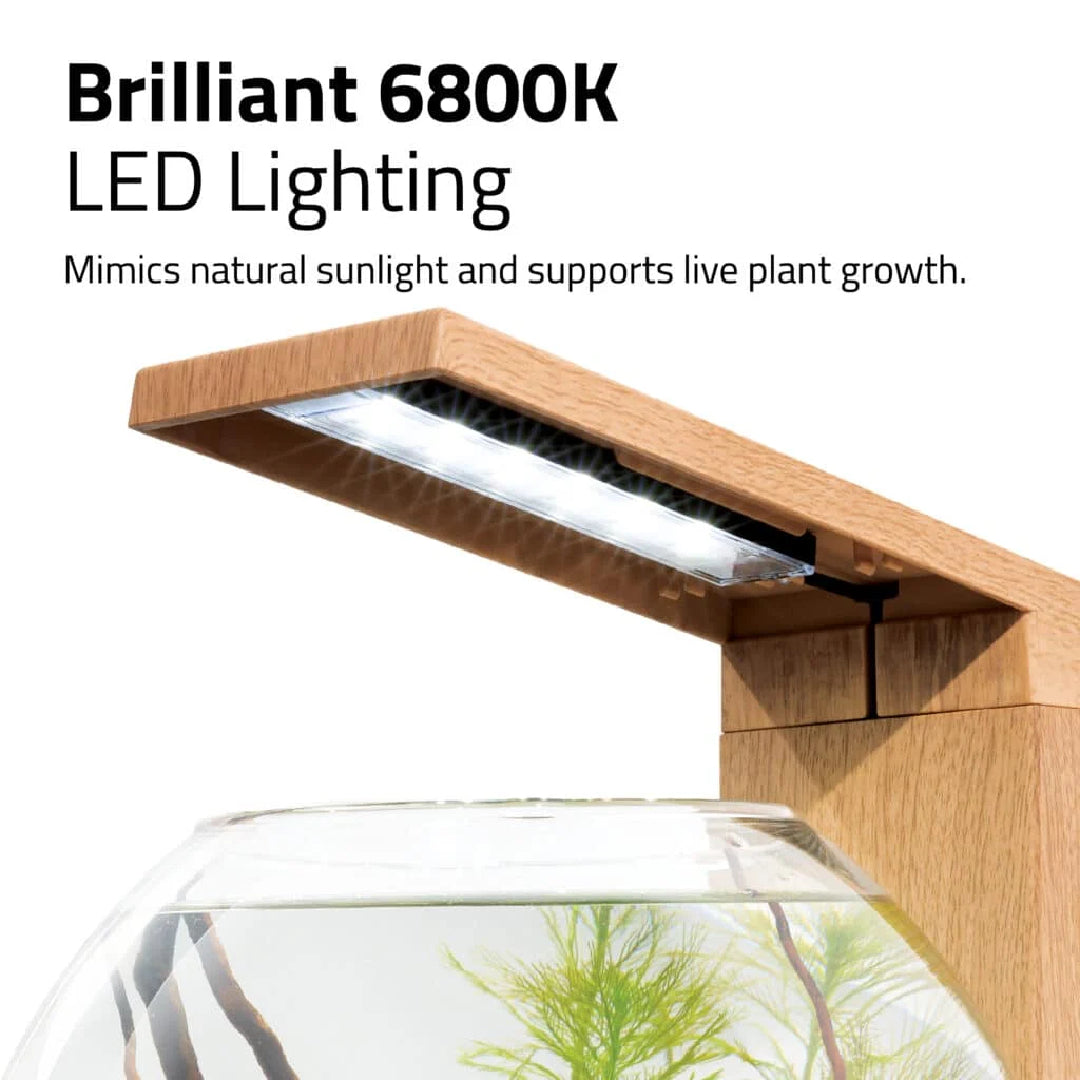 Fluval LIV 6.7 Microscaping Aquarium Kit