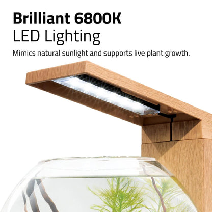 Fluval LIV 6.7 Microscaping Aquarium Kit