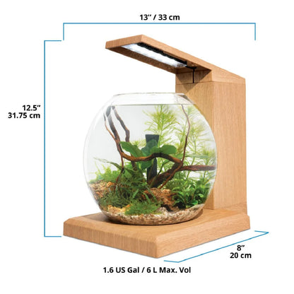 Fluval LIV 6.7 Microscaping Aquarium Kit