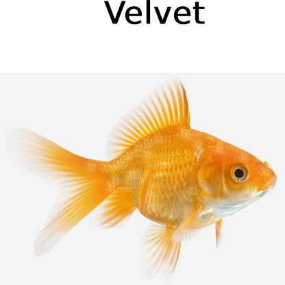 Seachem Cupramine Copper Medication