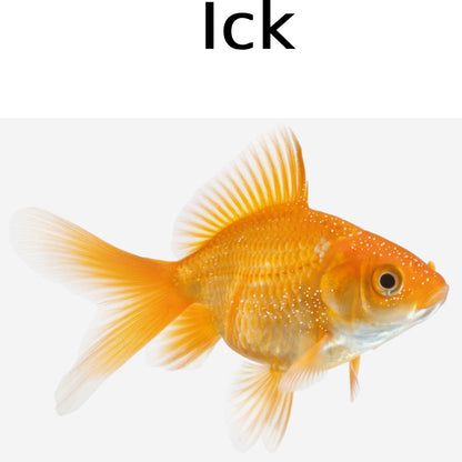 Seachem Cupramine Copper Medication