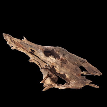 Galapagos Natural Driftwood Hollow Tree Root