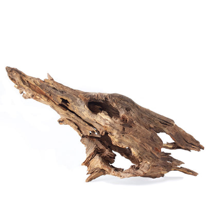 Galapagos Natural Driftwood Hollow Tree Root