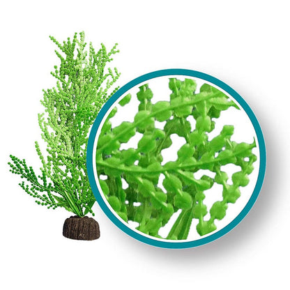 Weco Products Marine Pro Series Giant Halimeda Aquarium Plant